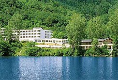 Dorint Seehotel & Resort Bitburg Sdeifel
