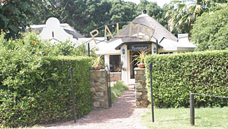 Palms Wilderness Guest House