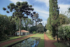 Madeira Golf-Velha do Palheiro