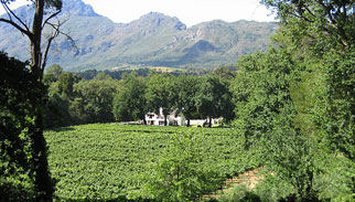 Molenvliet Guest & Wine Estate
